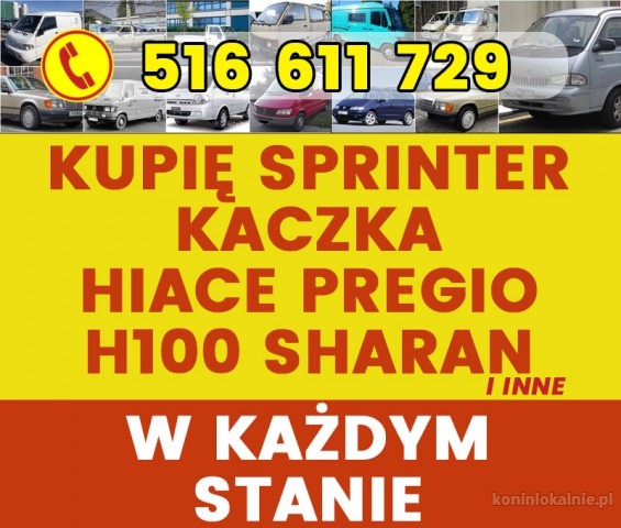 skup-mb-sprinter-kaczka-hiace-hyundai-h100-gotowka-32480-sprzedam.jpg